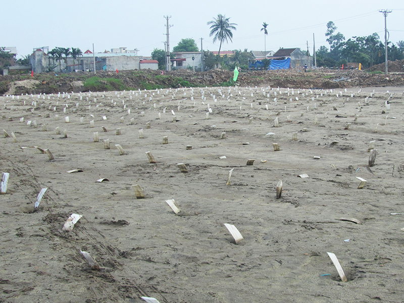 bấc thấm